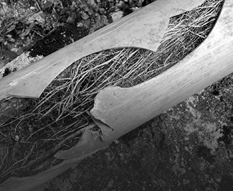 Blocked Drains Templestowe